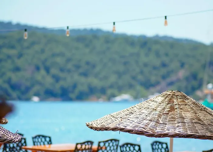 Hotel Marimare &