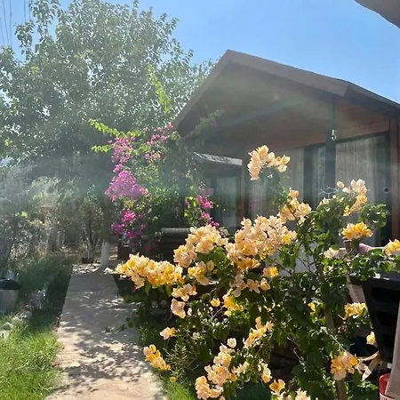 Marimare Beach&bungalow Hotel