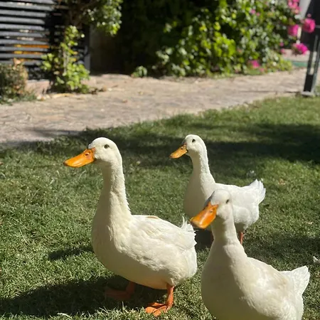 Marimare & Marmaris