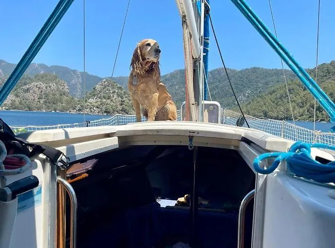 فندق Marimare & *